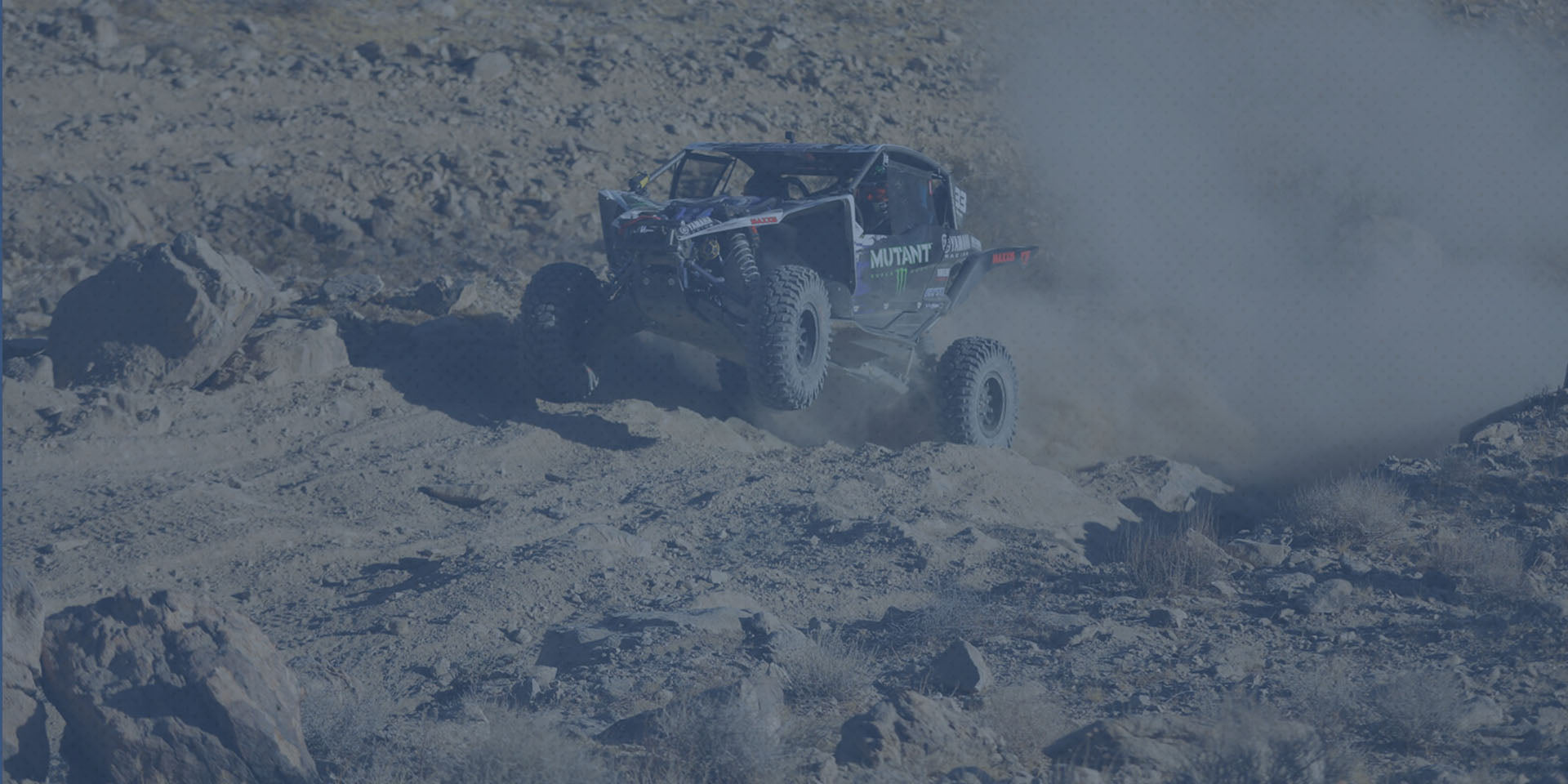 Maxxis UTV Tires