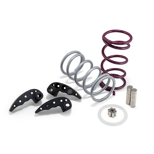 dynojet clutch kit for polaris ace 900 with three weight fingers, two springs washer and round weights 