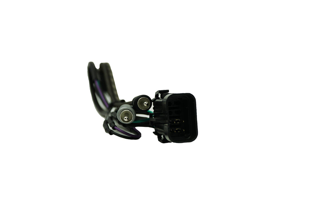UTV Stereo Ride Command Amplifier Harness - No Remote Wire