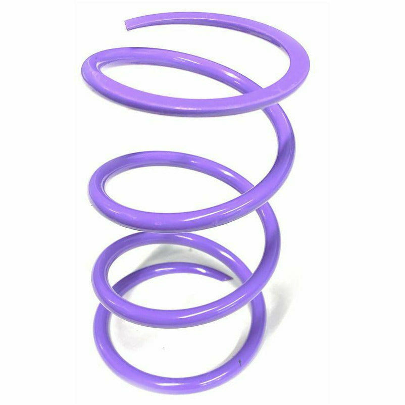 Aftermarket Assassins Secondary Springs RZR Turbo